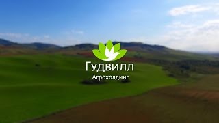 Агрохолдинг Гудвилл - Презентация