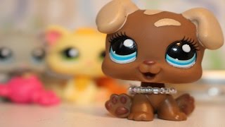 LPS: Pre-K (Part 1)