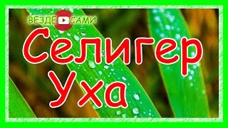 Селигер. Импортозамещение по русски. Долгожданная уха
