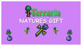 Terraria {How to get Natures Gift}