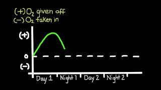 3.8.7 Explain how the rate of photosynthesis can be measured