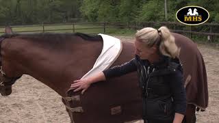 Harry's Horse | Couverture Teddyfleece 1/2