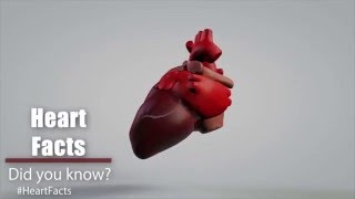 Heart Facts Vol 1