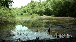 Ужгород - Боздоський парк