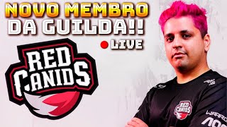 ?PEGANDO MESTRE HOJE - #500K? FREE FIRE - AO VIVO ?OLHA CODIGUIN ? SOLO RANKED ?