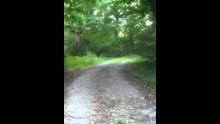 Abandoned North GA Plantation House (1)
