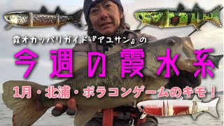 オカッパリガイド・アユサンの今週の霞水系！1月・北浦・ボラコンゲームのキモ！