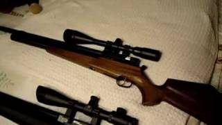 Semi-auto airgun: Evanix AR6 Shrouded vs FX Monsoon
