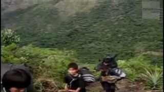 Sendero Luminoso utilizaría a niños 'pioneritos' como escudo humano