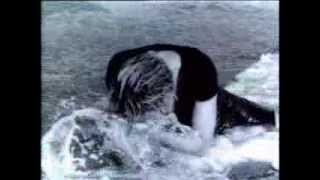 Madonna - Cherish (Video)