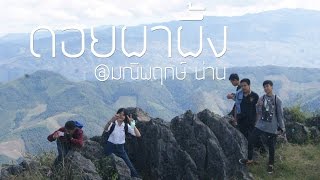NAN Unseen|ดอยผาผึ้ง มณีพฤกษ์