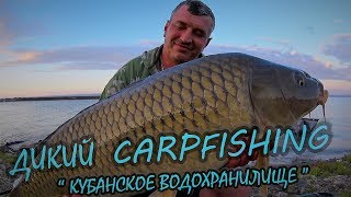 ДИКИЙ CARPFISHING ! ОХОТА ЗА ТРОФЕЯМИ новая история ( КУБАНСКОЕ  ВОДОХРАНИЛИЩЕ ) Часть-2 ая.