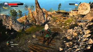 Прохождение The Witcher 3: Wild Hunt #31 Все секреты Велена, часть 1