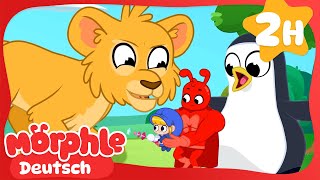 Riesentiere im Zoo | Cartoon für Kinder | Mila und Morphle auf Deutsch
