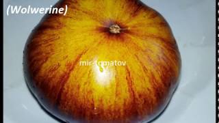 Хиты 19 года!  (часть 1)