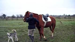 flexion, counter bend in hand