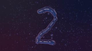 Fluid Morph - test