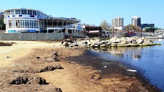 АНАПА 26.04.2019 ЦЕНТРАЛЬНЫЙ ПЛЯЖ ПАРК 30 ЛЕТ ПОБЕДЫ СТОЛОВАЯ РОДИНА