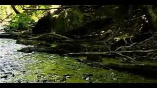 Aliens VS Predator S E E D - full movie