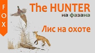 The Hunter на фазана.