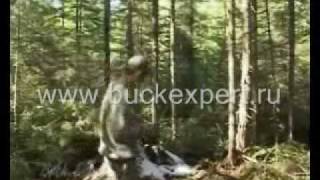 Ловушка на лося