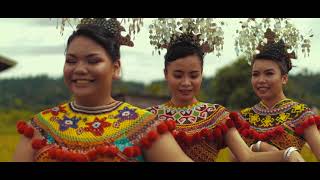 Temburong Videography