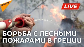 Спасатели борются с лесными пожарами в Грециии