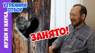 Ужас из глубин африканских сортиров. Игорь Фадеев