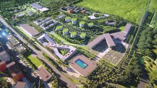 Крымская роза
