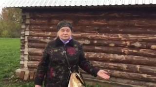 Вологодкие срубы от производителя. Отзыв о компании СтройДом