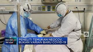 Lagi Peneliti Temukan Virus Baru “Neocov’