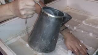 Вывод перепелят в пенопластовом инкубаторе. 15й день - снятие с решетки
