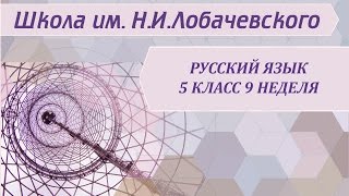 Русский язык 5 класс 9 неделя Главные члены предложения. Подлежащее и сказуемое