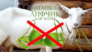 НЕ ПОДХОДИТ :((  Шапка - лифчик козе