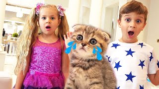 Diana Dan Roma Menemukan Anak Kucing Yang Lucu