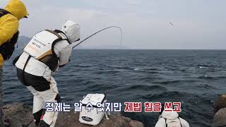 FTV_그랜드캐스팅 3부 남녀군도편 / 사메에서 쥐돔