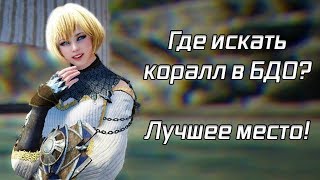 Где лучше всего добывать КОРАЛЛЫ в Black Desert (BDO)