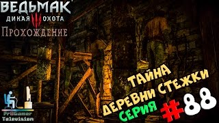 Ведьмак 3: Дикая Охота | Прохождение cерия #88 | Тайна деревни Стёжки