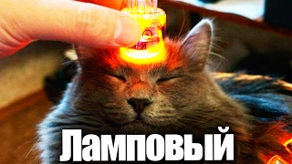 ЛАМПОВЫЙ СТРИМ | ОТВЕЧАЮ НА ВОПРОСЫ