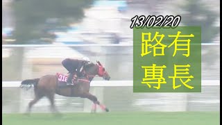 R10 選一匹路有專長嘅馬 作膽