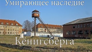 Умирающее наследие Кёнигсберга (выпуск 11)