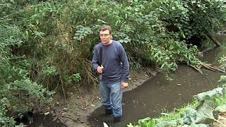 «Звениговский»: на грани катастрофы