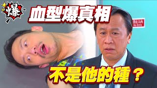 《多情大爆爆》多情城市 EP286 血型爆真相 不是他的種？