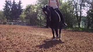 Abschied von meinem "Ponygirl"