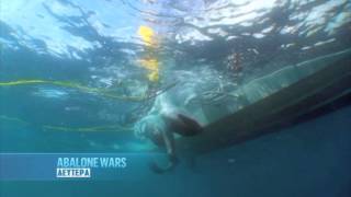 Abalone Wars