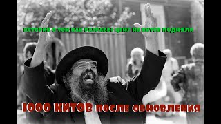 История сдачи 1000-ти китов с кроноцкого.До и ПОСЛЕ обновления