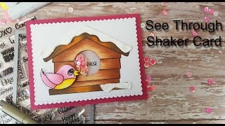 See Through Shaker Card