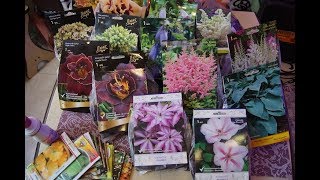 МЕГА ЗАКУПКА МНОГОЛЕТНИХ РАСТЕНИЙ ДЛЯ САДА, СЕМЕНА И...