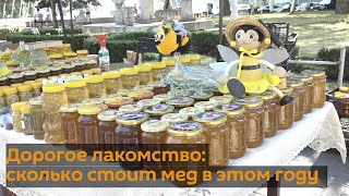 В Кишиневе открылась ярмарка меда: каковы цены на золотое лакомство