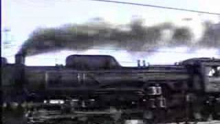 Ｄ５１　４９８